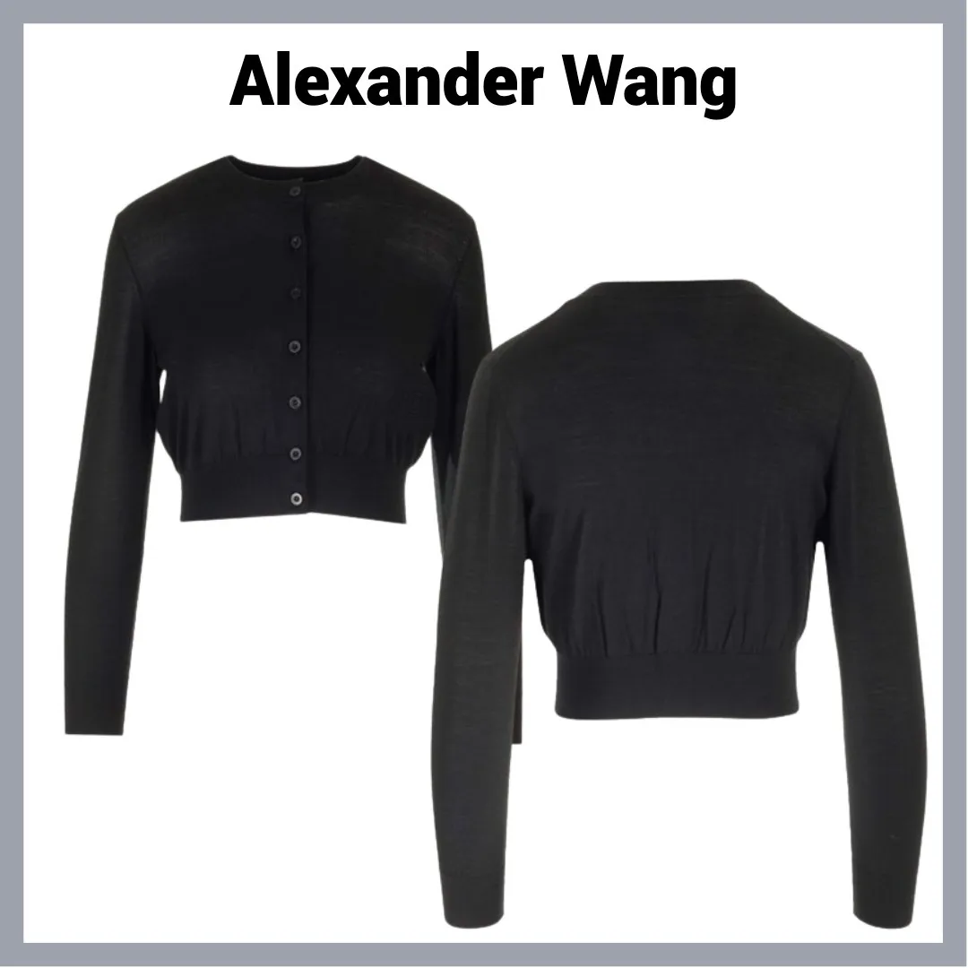 Casual Street Style Wool Blend Long Sleeve Shirt by Alexander Wang