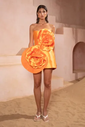 Tangerine Hayman Dress - Shop Now